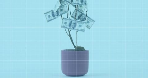 Money tree symbolizing financial growth and investment