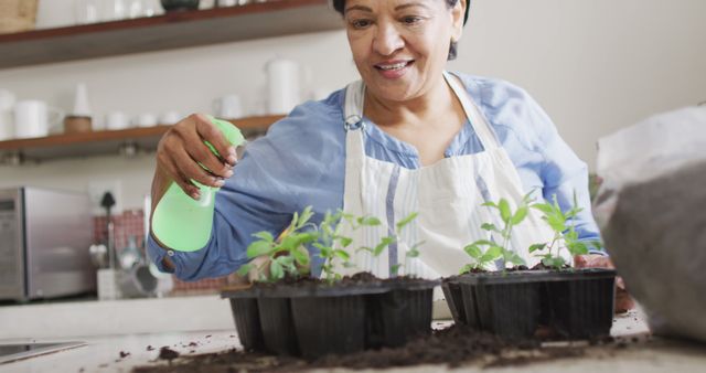 Smiling senior biracial woman wearing apron and gardening in kitchen alone. healthy and active retirement at home.