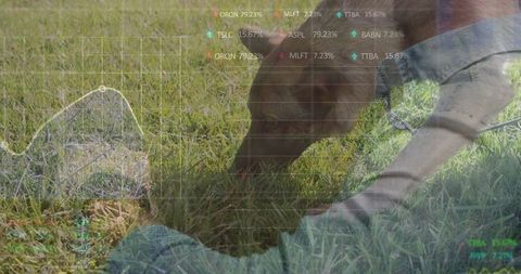 Dog sniffing grass with financial chart concept