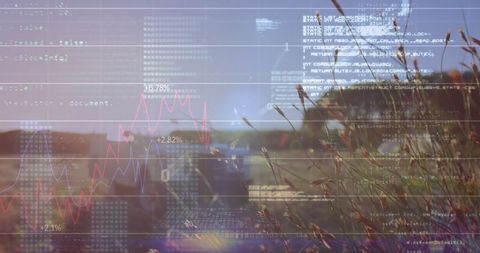 Blending nature with technology: grass, code, and data graph overlay