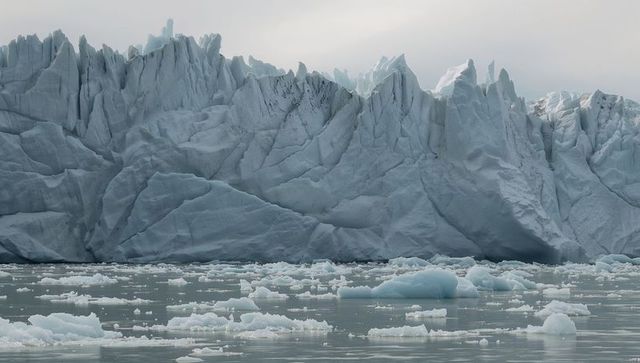Massive glacier face rising above calm arctic fjord with floating icebergs and reflective water