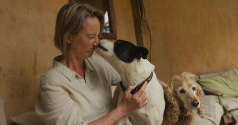 Cozy moment of affection: woman and dogs on rustic porch