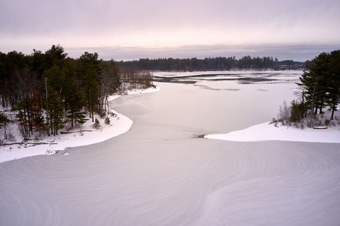Frozen Lake Shoreline with Snowy Pine Island and Soft Pink Winter Sky at Dusk