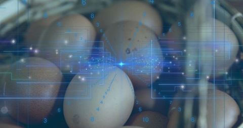 Brown eggs in wicker basket with blue hud overlay blending rustic farm and smart tech