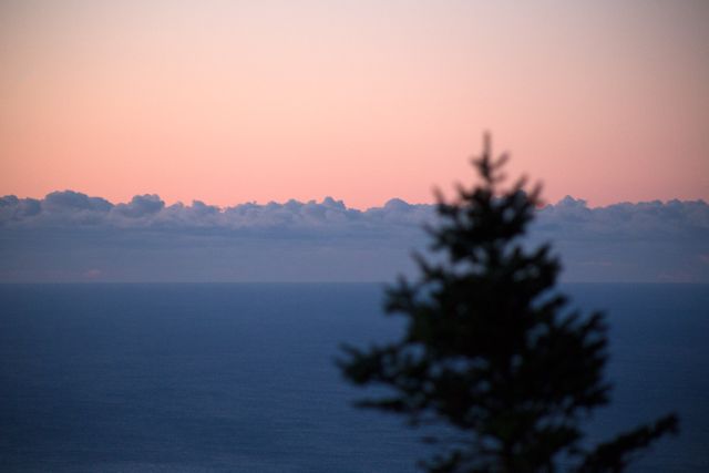Serene Sunrise Over Ocean with Silhouetted Tree - Download Free Stock Photos Pikwizard.com