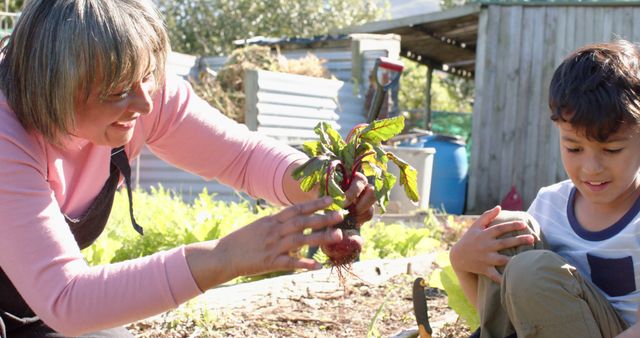 Grandparent and Grandchild Harvesting Fresh Vegetables in Garden - Download Free Stock Images Pikwizard.com