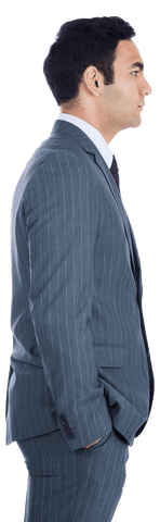 Serious Biracial Businessman in Profile View on Transparent Background