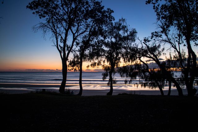 Beautiful beach landscape during sunset with silhouettes of trees in the foreground. Calm ocean waves and clear sky create a tranquil scene perfect for backgrounds, travel promotions, or relaxation themes in digital or print media.