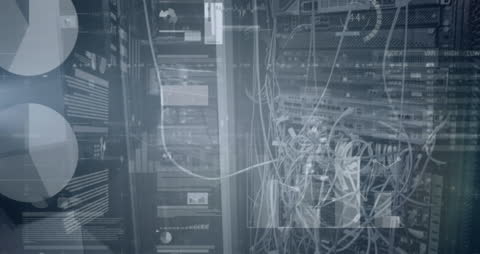 Digital Data Processing Amidst Computer Servers