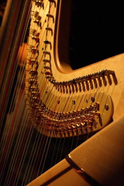 Image features a close-up view of harp strings and golden bridge pins, emphasizing intricate details of the instrument in low light. Ideal for use in content related to music, classical instruments, orchestral performances, and artistic expression. Perfect for promoting music events, educational musical resources, and creating a sophisticated ambiance in media.