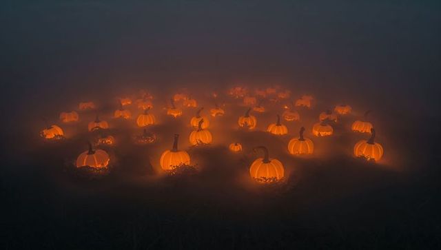 Eerie glowing pumpkins in mysterious foggy field