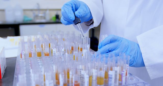 Scientist Conducting Laboratory Testing with Assorted Test Tubes - Download Free Stock Images Pikwizard.com