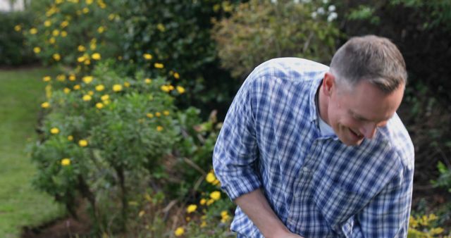 Man Gardening in Backyard with Flowerbeds - Download Free Stock Images Pikwizard.com