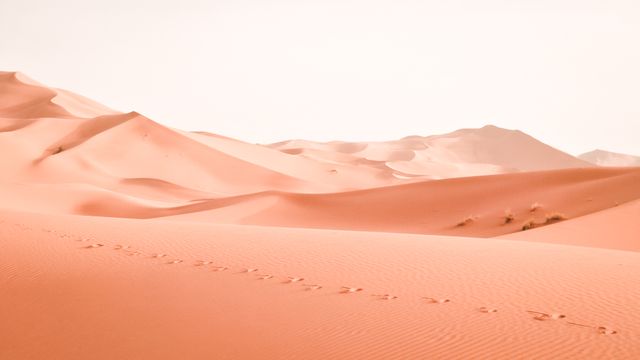 Sand dunes in a vast desert with a series of footprints leading through the landscape. Perfect for use in travel brochures, adventure tourism advertisements, inspirational posters showcasing the beauty of nature, or backgrounds for presentations about exploration and natural scenery.