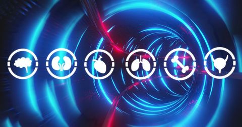 Human Biology Icons in Neon Tunnels Concept - Download Free Stock Images Pikwizard.com