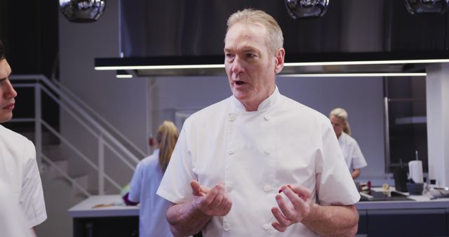 Senior Chef Rehearsing in Bright Modern Kitchen - Download Free Stock Images Pikwizard.com