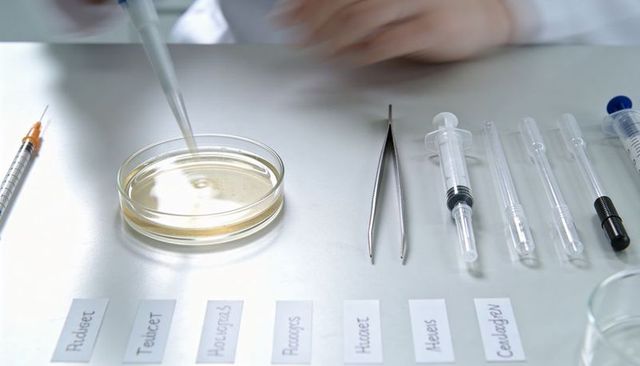 Pipetting Into Petri Dish on Stainless Bench with Syringes, Tweezers and Labeled Samples