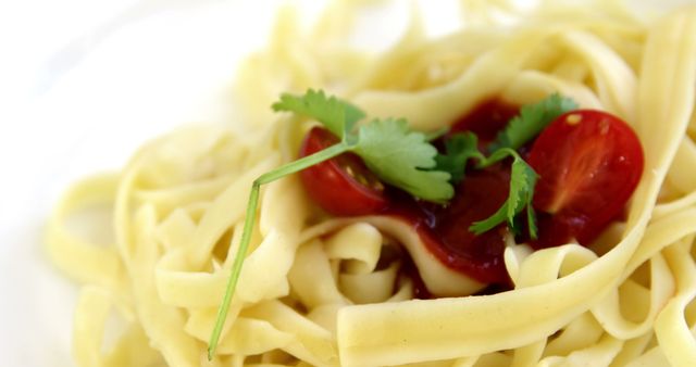 Fresh Tagliatelle Pasta with Cherry Tomatoes and Cilantro Garnish - Download Free Stock Images Pikwizard.com