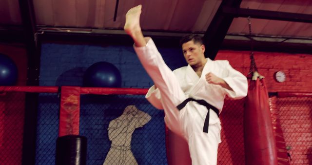 Martial Artist Practicing High Kick in Karate Dojo - Download Free Stock Images Pikwizard.com