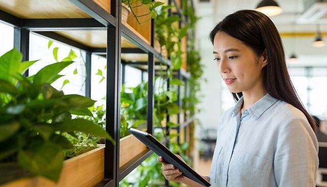 Young professional inspecting office plants with tablet in biophilic modern workplace