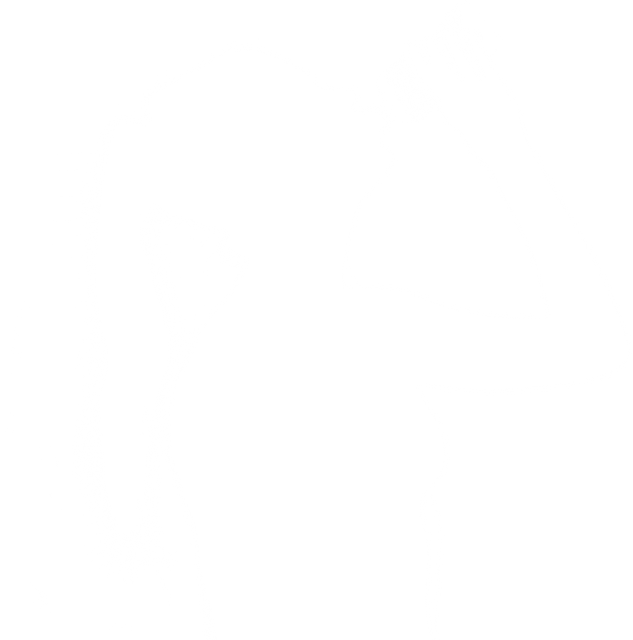 Transparent Silhouette of Woman Drinking from Bottle amid Strip - Download Free Stock Videos Pikwizard.com