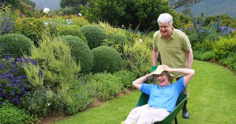 Playful Seniors Enjoying Garden Fun Wheelbarrow Ride