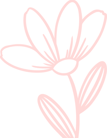 Elegant pink floral line art on transparent background