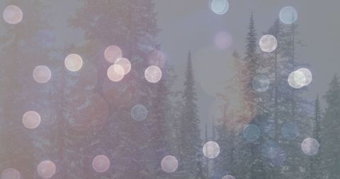 Winter Wonderland with Festive Bokeh Lights Overlay - Download Free Stock Images Pikwizard.com