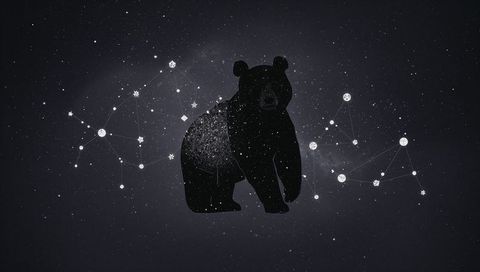 Cosmic bear silhouette with starfield nebula glow and geometric constellation network