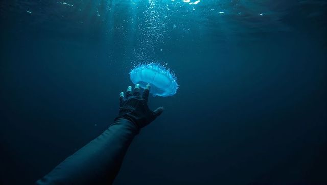 Diver Reaching for Jellyfish in Mysterious Deep Sea