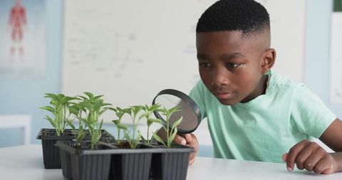Curious student examining seedlings with magnifying glass in classroom science lesson