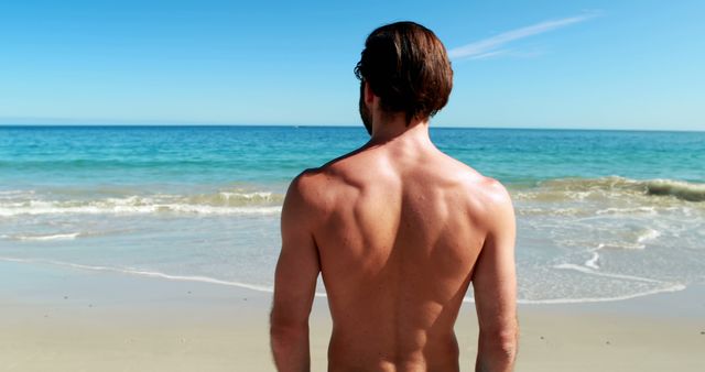 Rear view of man standing on beach 4k