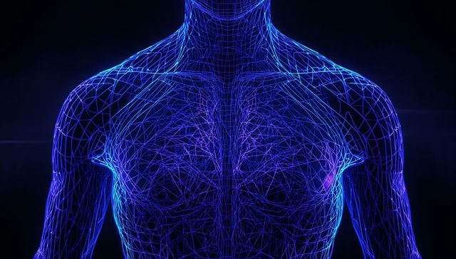 Neon Wireframe Torso Showing Holographic Human Anatomy Network 3D Mesh Visualization