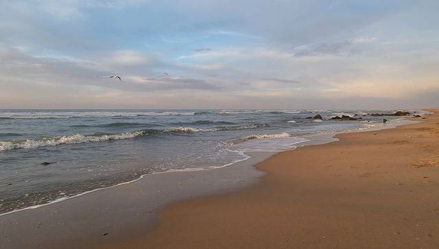 Serene pastel sunrise beach with lapping waves, reflective wet sand and distant rocks