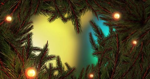 Festive Christmas Tree Branches with Twinkling Fairy Lights - Download Free Stock Images Pikwizard.com