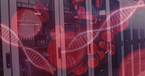 Medical Data Processing with DNA Strand on Server - Download Free Stock Images Pikwizard.com