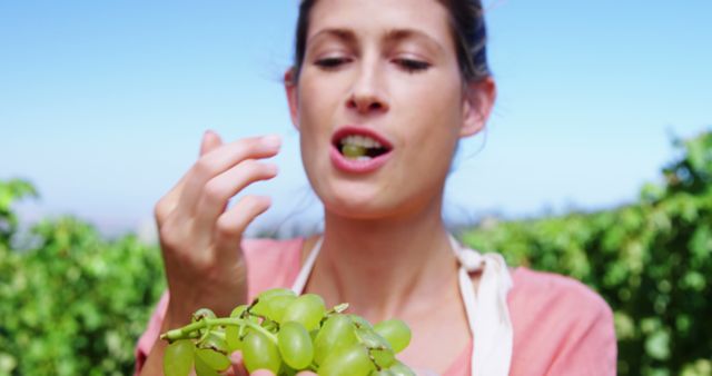 Image shows woman eating fresh green grapes at vineyard on sunny day. Ideal for healthy eating, lifestyle blogs, nutrition articles, and vineyard promotional materials.
