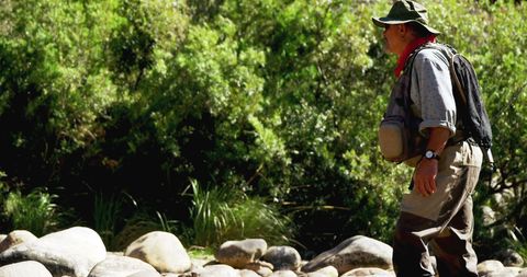 Fly Fisherman Standing by Rocky Riverside in Sunlit Forest