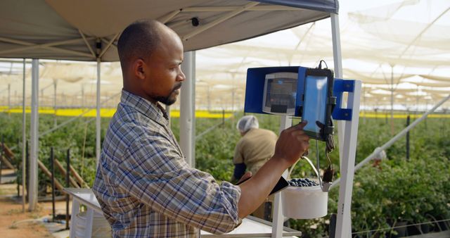 Farmer Using Digital Temperature Monitor in Greenhouse - Download Free Stock Photos Pikwizard.com