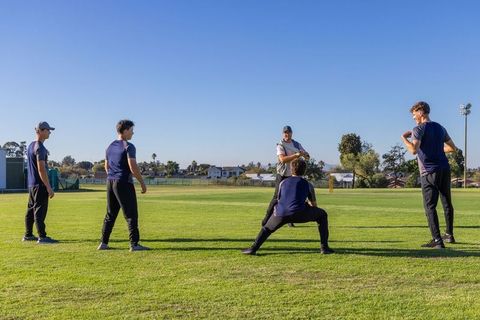 Cricket players practicing bowling and wicketkeeping on sunny green pitch for team training