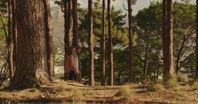 An elderly couple is walking through a scenic forest filled with tall pine trees, enjoying a peaceful and relaxing moment together. The image captures the essence of tranquility and natural beauty, offering a glimpse of a calm, serene lifestyle. Ideal for use in subjects related to senior activities, nature walks, healthy living, relaxation, and moments of bonding in old age.