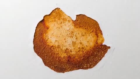 Time-lapse Brown Stain Darkening and Spreading across White Paper with Granular Texture