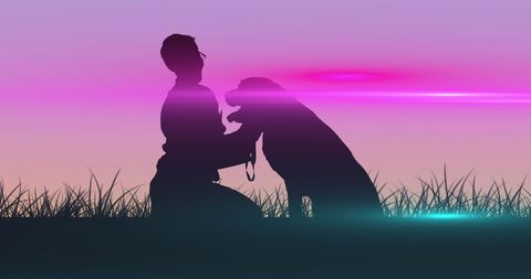 Silhouette of Person with Dog Amid Neon Sunset Background