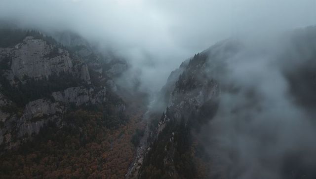 Fog draping alpine valley, aerial gorge with autumn forest and meandering stream