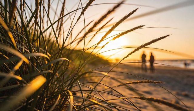 Beach dune grass glowing in warm golden sunset with silhouetted walkers on shore
