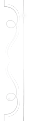 elegant transparent flourish divider with curved swirls and nodes - Download Free Stock Videos Pikwizard.com