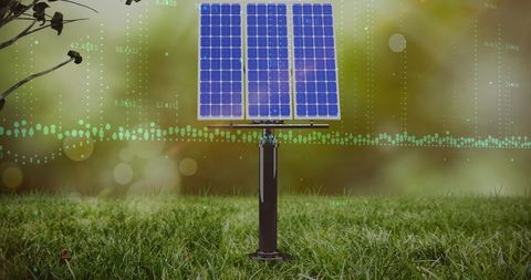 Solar Panels in a Green Environment Embracing Technology - Download Free Stock Images Pikwizard.com