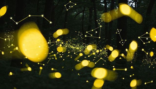 Glowing firefly orbs floating through forest with bokeh trails and constellation lines