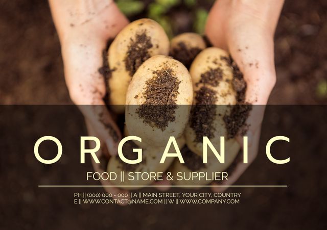 Perfect for promotional materials for organic food stores, farms, and suppliers emphasizing sustainability. Suitable for marketing campaigns, website banners, and social media posts related to healthy eating, farm-to-table initiatives, and eco-friendly practices.