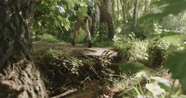 Hiker Crossing Forest Trail Bridge Over Stream - Download Free Stock Images Pikwizard.com